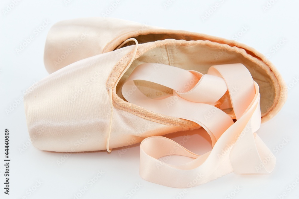 Ballet Point Shoes or Slippers