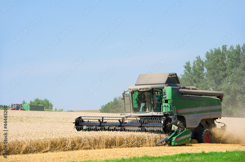 Fototapeta premium combine harvester