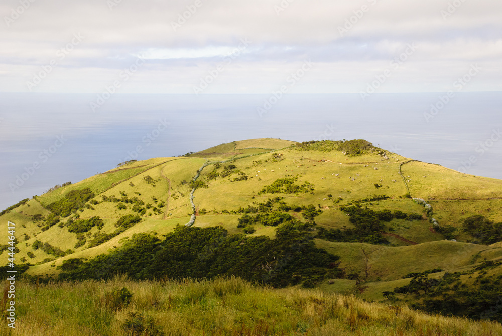 Pastrue landscape, Sao Jorge island, Azores