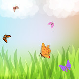 Colorful butterflies flying over green grass