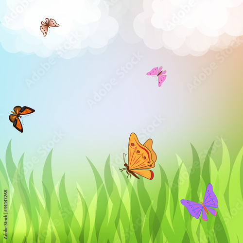 Colorful butterflies flying over green grass © More Images