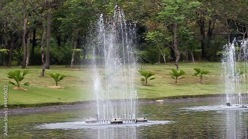 Wallpaper Mural Fountain in the garden Torontodigital.ca