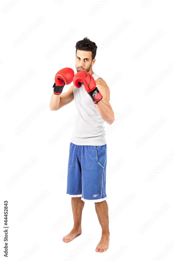 Boxer Boxer