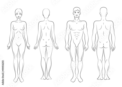Body