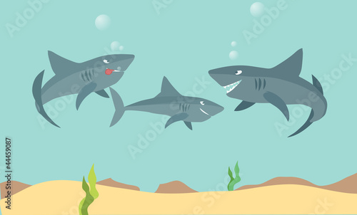 sharks