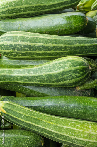 Fresh squash for sale at the market