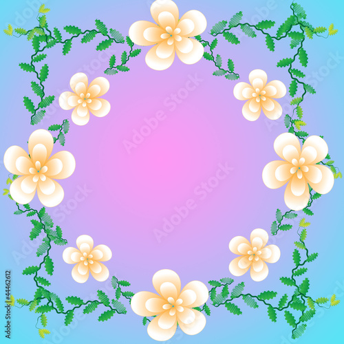 Flower of frame on color background