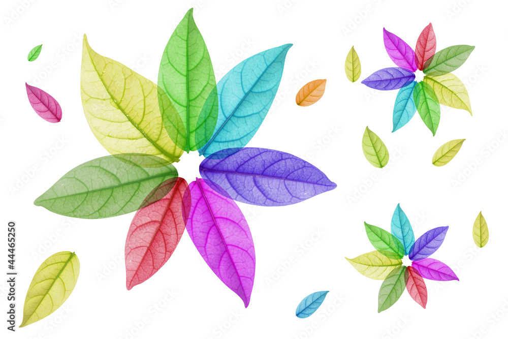 Design of Colorful leaf in white Background
