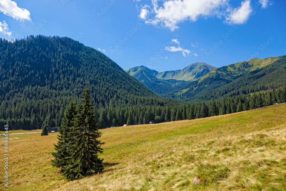 Mountain in the valley Chocholowska in the Tatras, Poland.