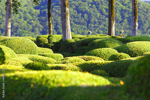 Fényképezés marqueyssac