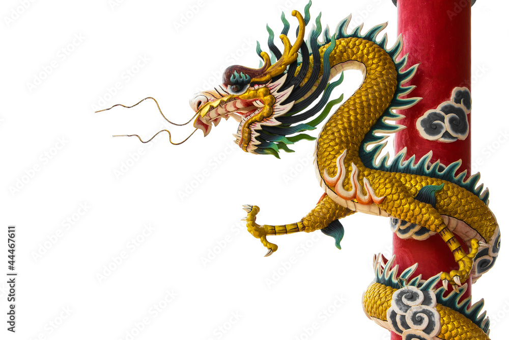 Obraz premium animal dragon