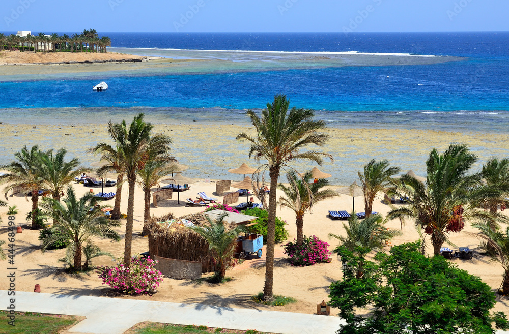 Fototapeta premium marsa alam, egitto