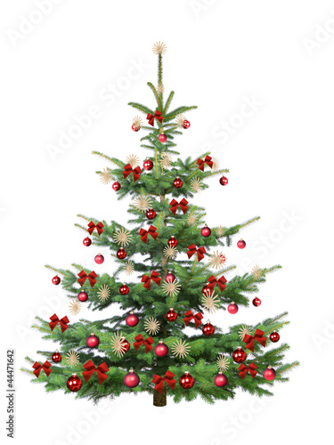 Tannenbaum