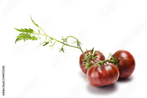 Fresh and natural tomatoes