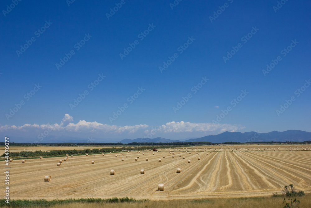 Fototapeta premium Hay Bale Scenery