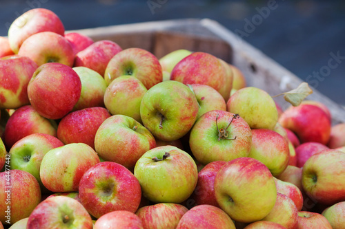 Äpfel in einer Kiste photo