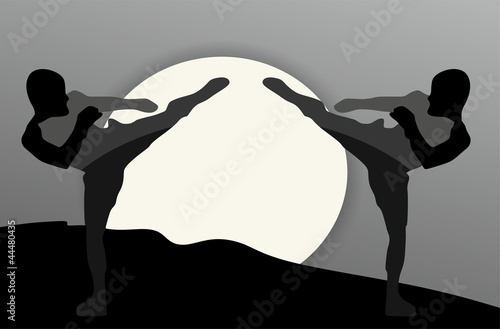 Martial Arts - Silhouette