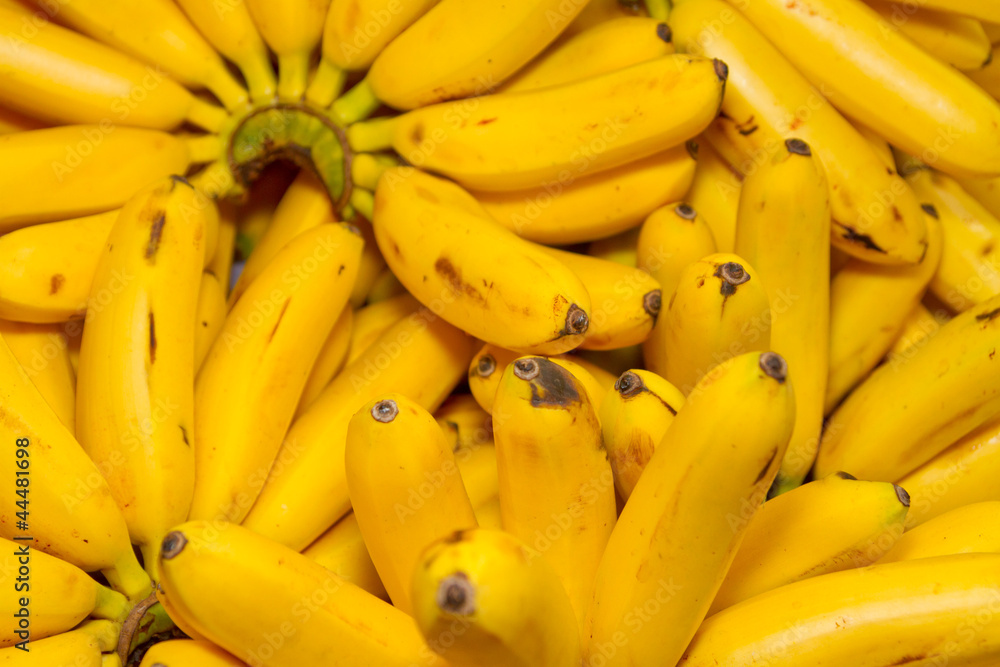 Bunch Of Organic Ripe Bananas