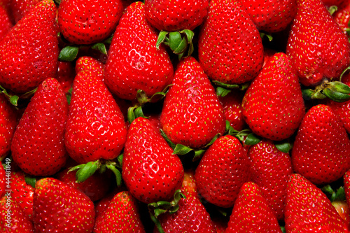 Organic fresh strawberries