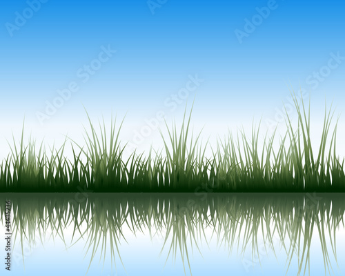 meadow with reflection