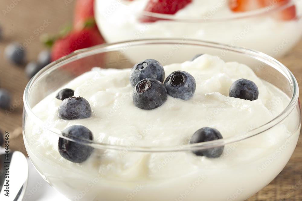 Fresh Organic Greek Yogurt with blueberries Fresh Organic Greek Yogurt with blueberries