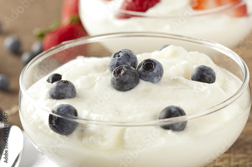 Fresh Organic Greek Yogurt with blueberries