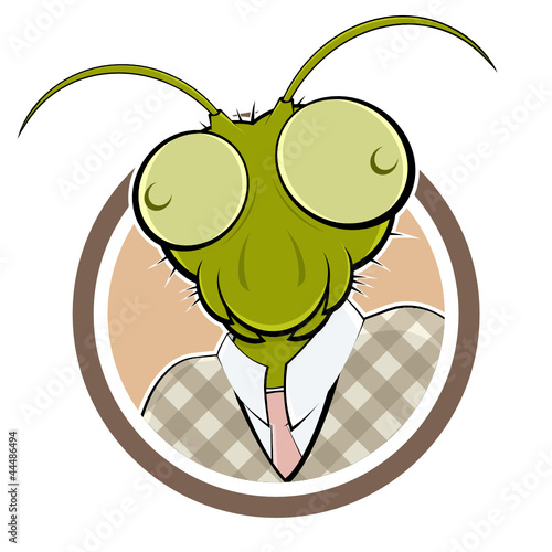 grasshopper mantis head