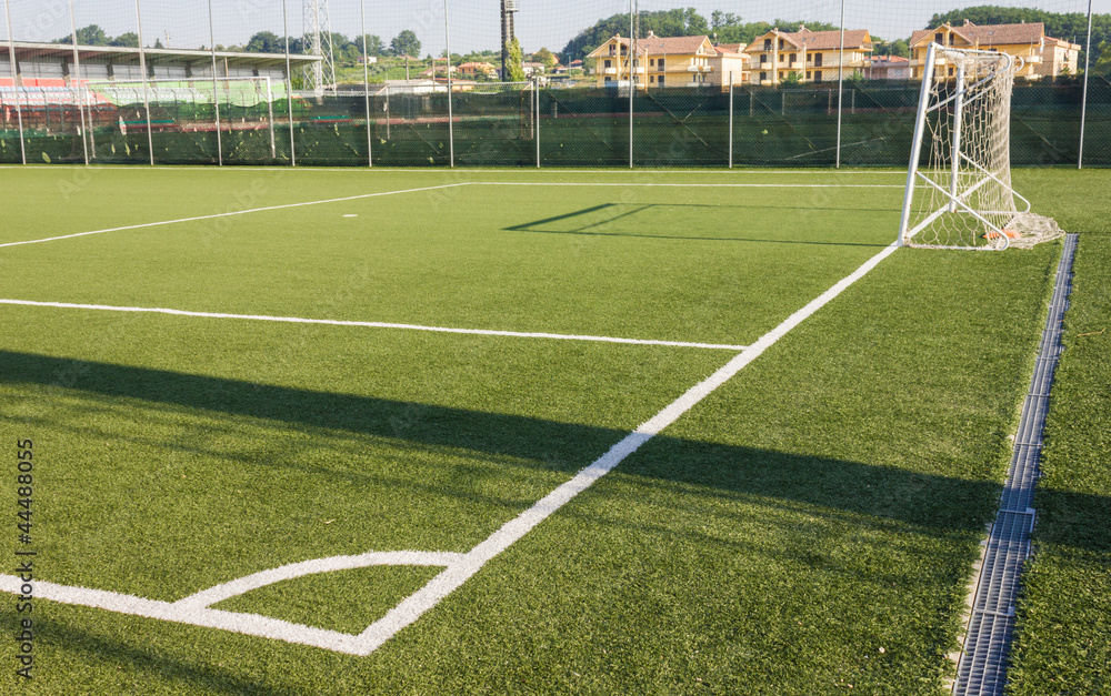 Naklejka premium soccer field grass with net goal