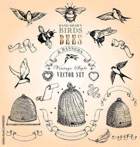 Vintage Style Birds, Bees and Banners Vector Set