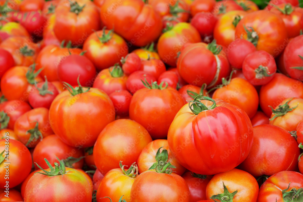 Red Juicy Tomatoes