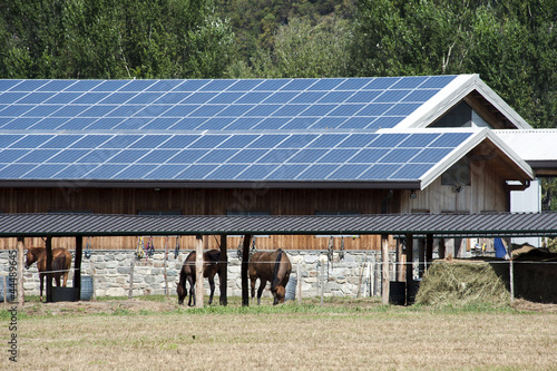 Solar panels farm