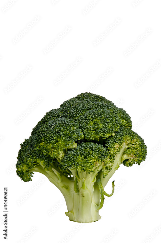 Broccoli Broccoli