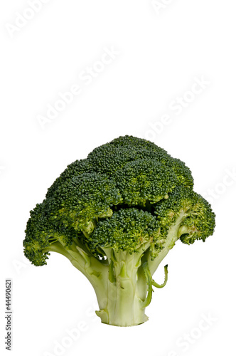 Broccoli