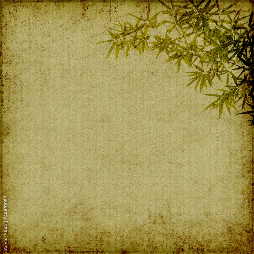 Fototapeta premium bamboo on old grunge antique paper texture