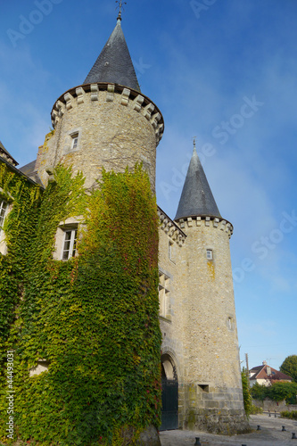 chateau in france, covered in ivy