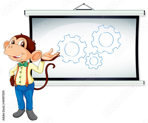 monkey showing white board