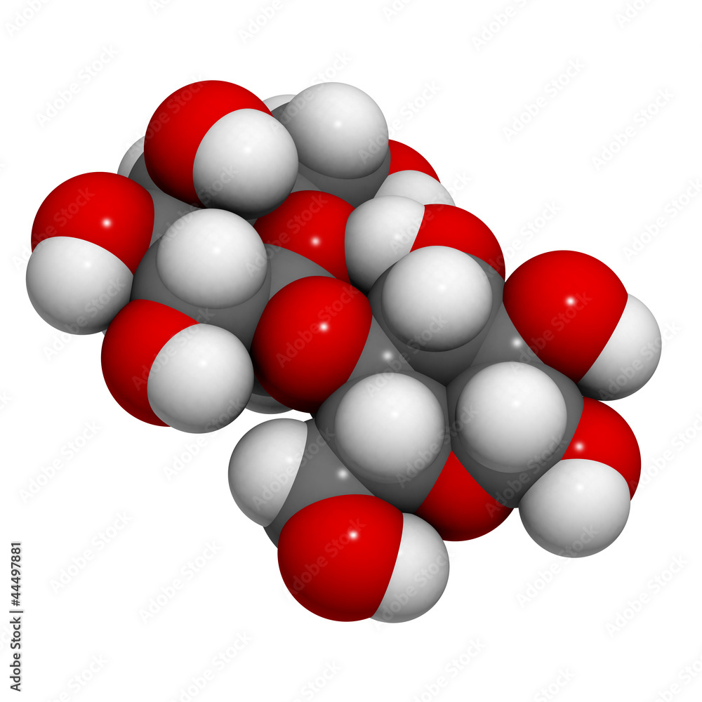 lactose (milk sugar) molecule, chemical structure lactose (milk sugar) molecule, chemical structure