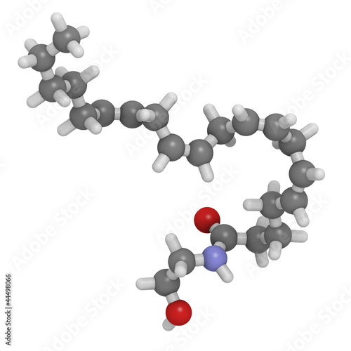 anandamide molecule, chemical structure photo