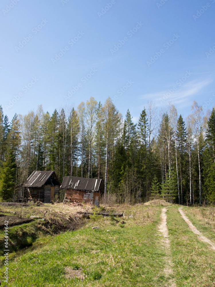 house in the village in summer