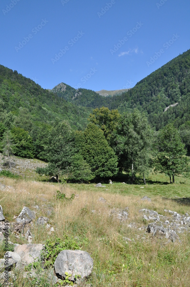 Vallée de la Wormsa, Alsace Vallée de la Wormsa, Alsace