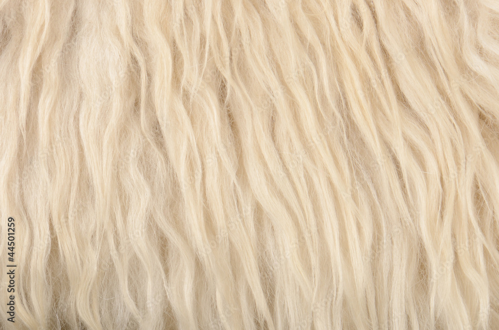 close up sheepskin texture background close up sheepskin texture background