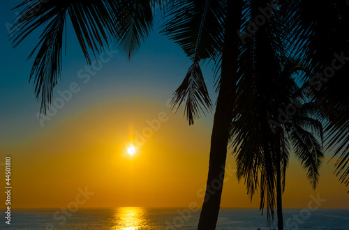 Beautiful tropical sunset © Anton Gvozdikov