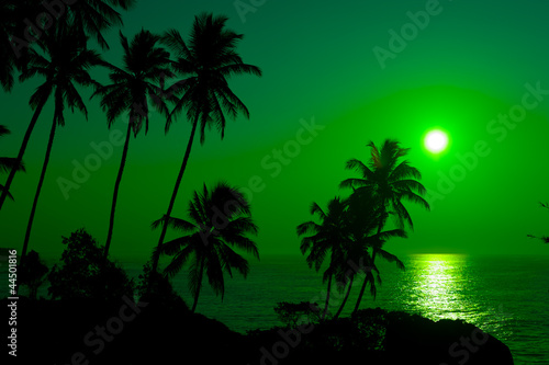 Beautiful tropical sunset