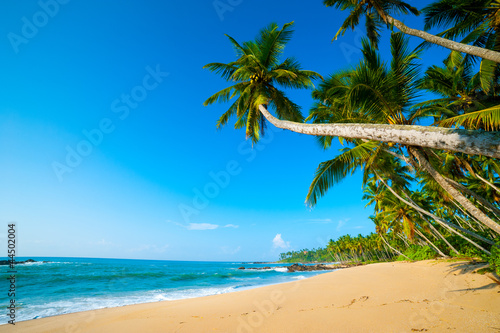 Fototapeta Naklejka Na Ścianę i Meble -  Tropical beach