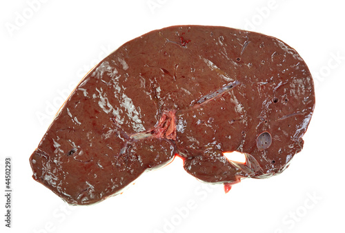 Slice of raw beef liver
