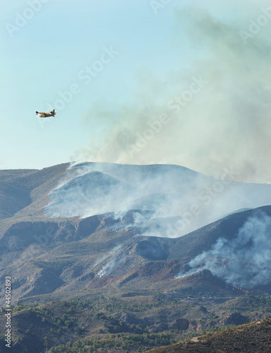 Forest Fire near Bedar, Mojacar, Almeria, Andalusia, Spain photo