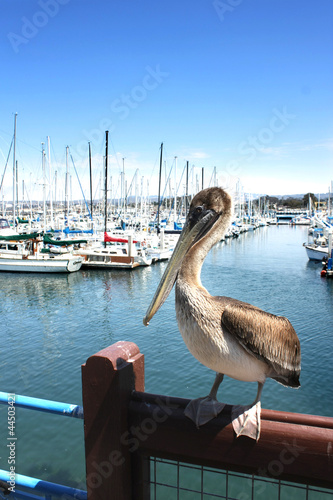 Tableau sur toile Monterey -   Fisherman's Wharf