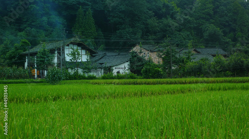 Tapety artystyczne Rural landscape