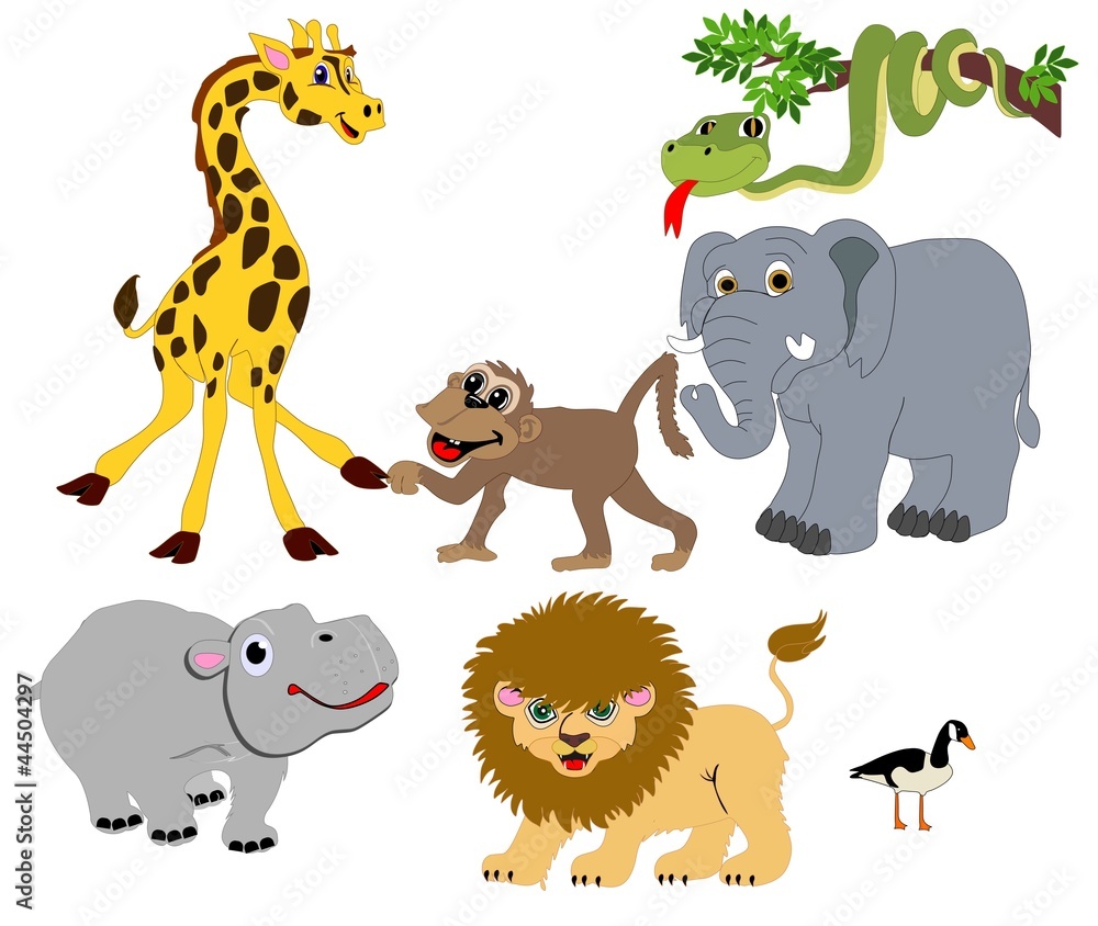 Obraz premium Jungle Animals from around the world