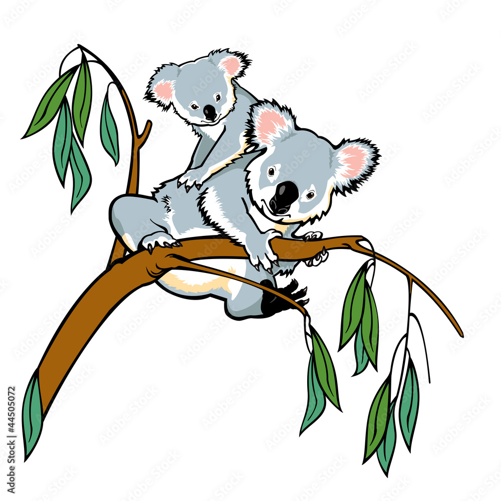 Naklejka premium miś koala z joeyem wspinającym się na gałąź eukaliptusa